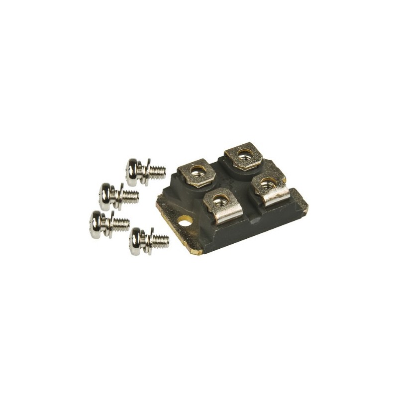 Schottky diode 2x40A 100V DSS2X41-01A