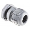 PG21 Legrand cable gland 098025