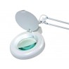 Magnifier lamp 5 diopters 22W 240VAC
