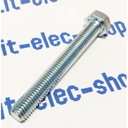 TH screw M10x80 zinc