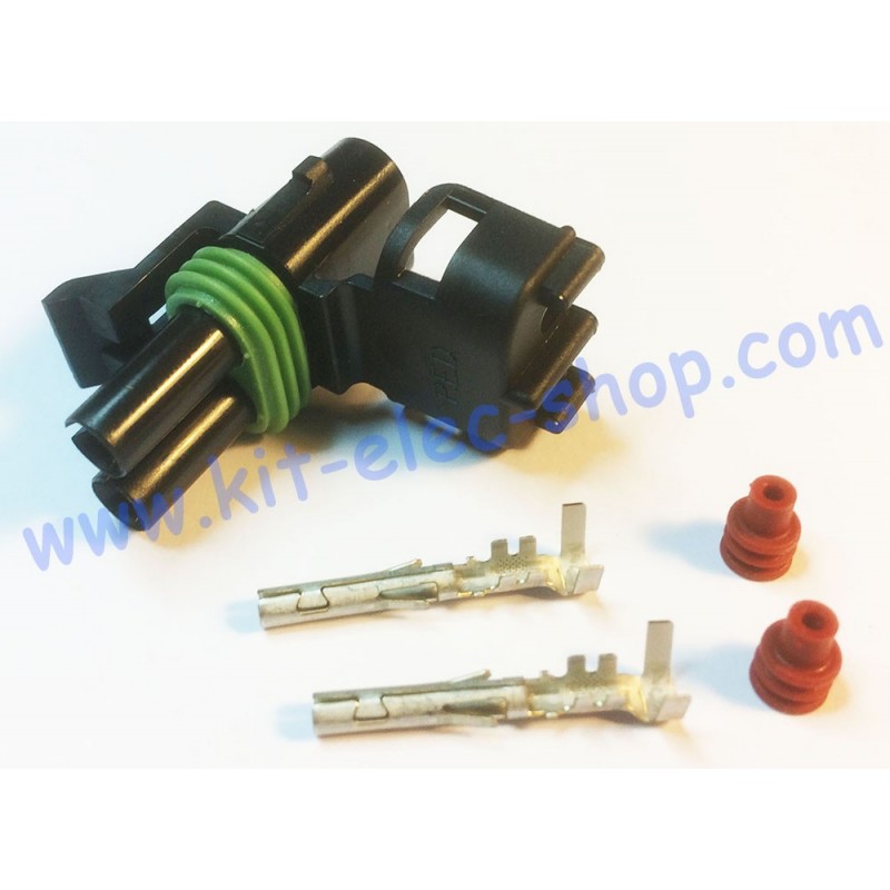 2-pin DELPHI Weather-Pack female kit connector