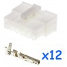 MOLEX male 12 pin connector with 12 female contacts