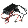 Unity charger 3.6V 20A for one LiFePO4 cell