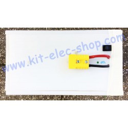 Lithium battery 48V 20Ah Low Density with BMS