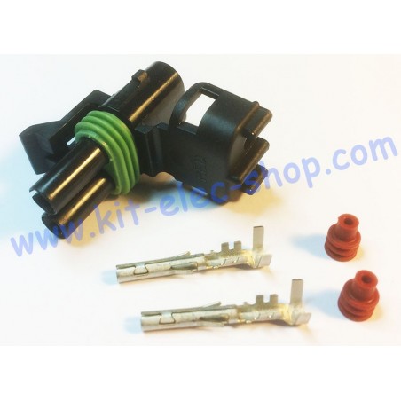 2-pin DELPHI Weather-Pack female pack connector