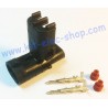 DELPHI Weather-Pack male 2-pin plug pack
