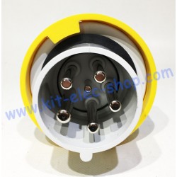Male plug 63A PK yellow 3P+N+T 81377