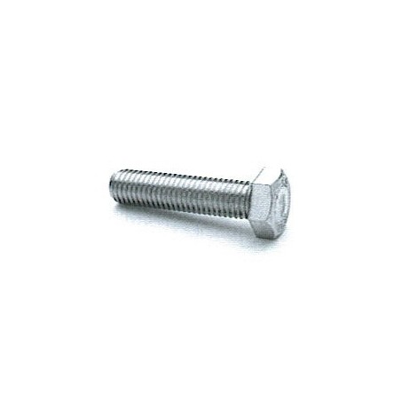Screw TH M10x30 stainless steel A2