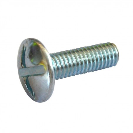 Poilier zinc screw M6x30