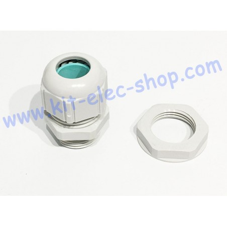 Grey cable gland M12 LAPP 53111407 and nut 53119200