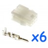 MOLEX 6-pin Y-fitting for CURTIS controller