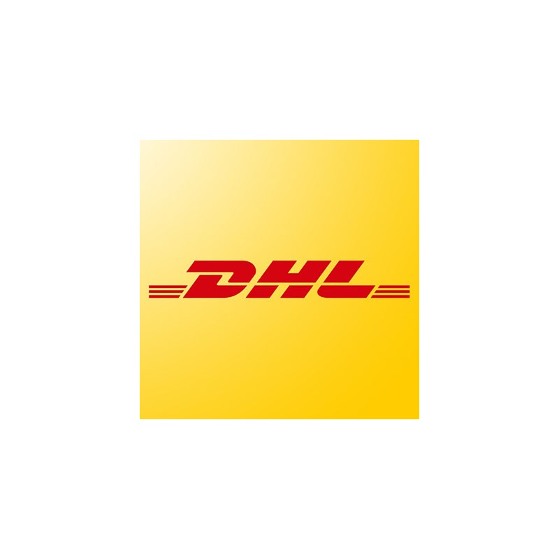 Frais de port DAP via DHL 12.8kg pour l'Inde
