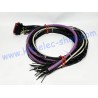 Cable with AMPSEAL 35-pin connector and CAN bus length 2m pack