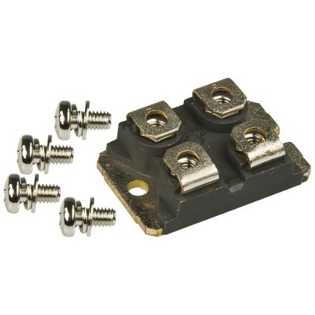 Schottky diode 2x60A 100V DSS2X61-01