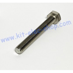 TH screw M10x80 stainless steel A4