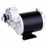 36V 600W DC motor with gearbox
